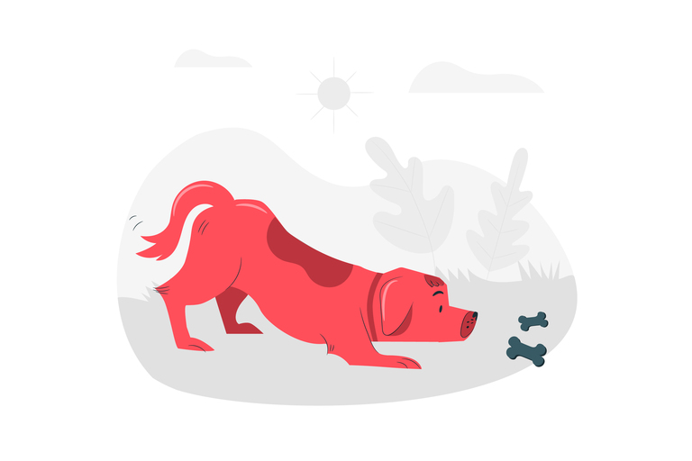 Perro_Huesos Perro_Huesos